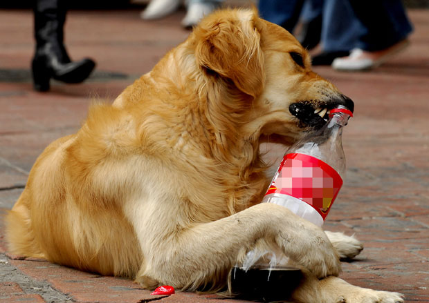 Пас изуједао петогодишњакињу